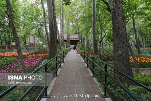 شروع فعالیت ۷ شهردخت در تهران طی هفته جاری