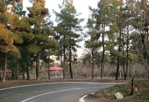 سند طرح مدیریت راندمان بوستان های چهار گانه جنگلی شمال تهران به امضا رسید