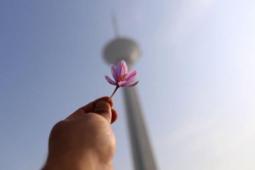 تشریح ویژه برنامه های نوروزی برج میلاد