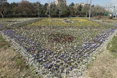 تشریح اقدامات شهرداری منطقه ۲ در طرح استقبال از بهار