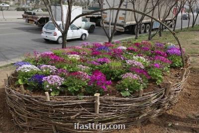 سبدهای گل زینت بخش پل های سواره رو منطقه ۱۹ شدند