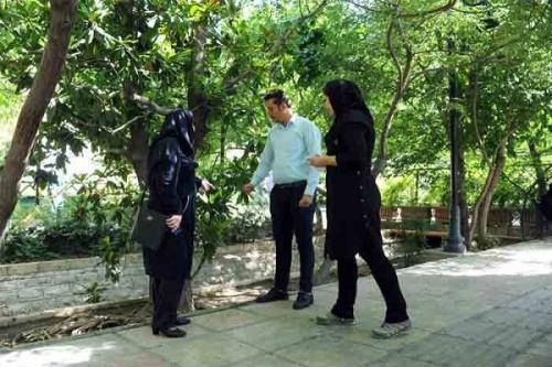 پایش و کنترل بیماریهای درختان و گیاهان در منطقه ۲ تهران