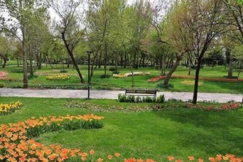 ایجاد ۱۵۰۰ هکتار پارک جدید در تهران