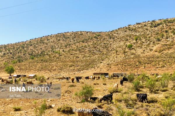 خسارت ۲۰ میلیاردی به عشایر در سیل استان تهران