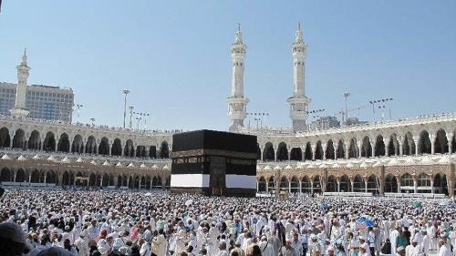 آمار فوت شدگان حج سال جاری