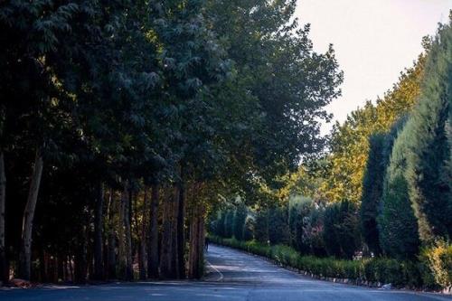 تملک ۷ باغ در تهران برای تبدیل به بوستان در محلات کم برخوردار