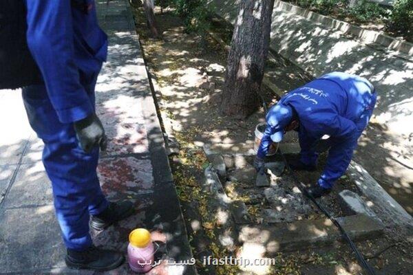 آغاز همکاری علمی برای مبارزه با جانوران موذی و سگ های ولگرد