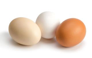 فروشگاه تخم مرغ خوراكی در استان آذربایجان غربی