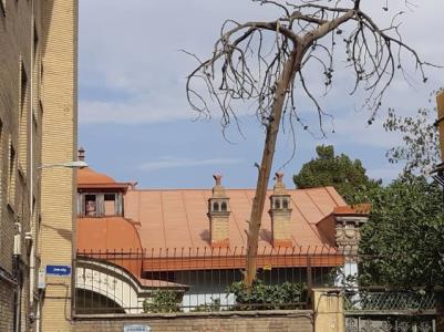 گلایه نظری از وضعیت خانه مستوفی الممالك